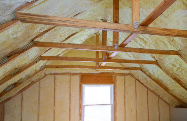Best Eco-Friendly Insulation in Speer, NC